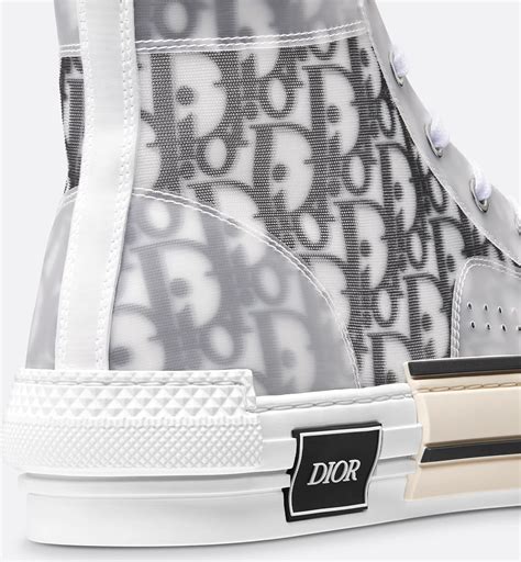 dior b23 canvas